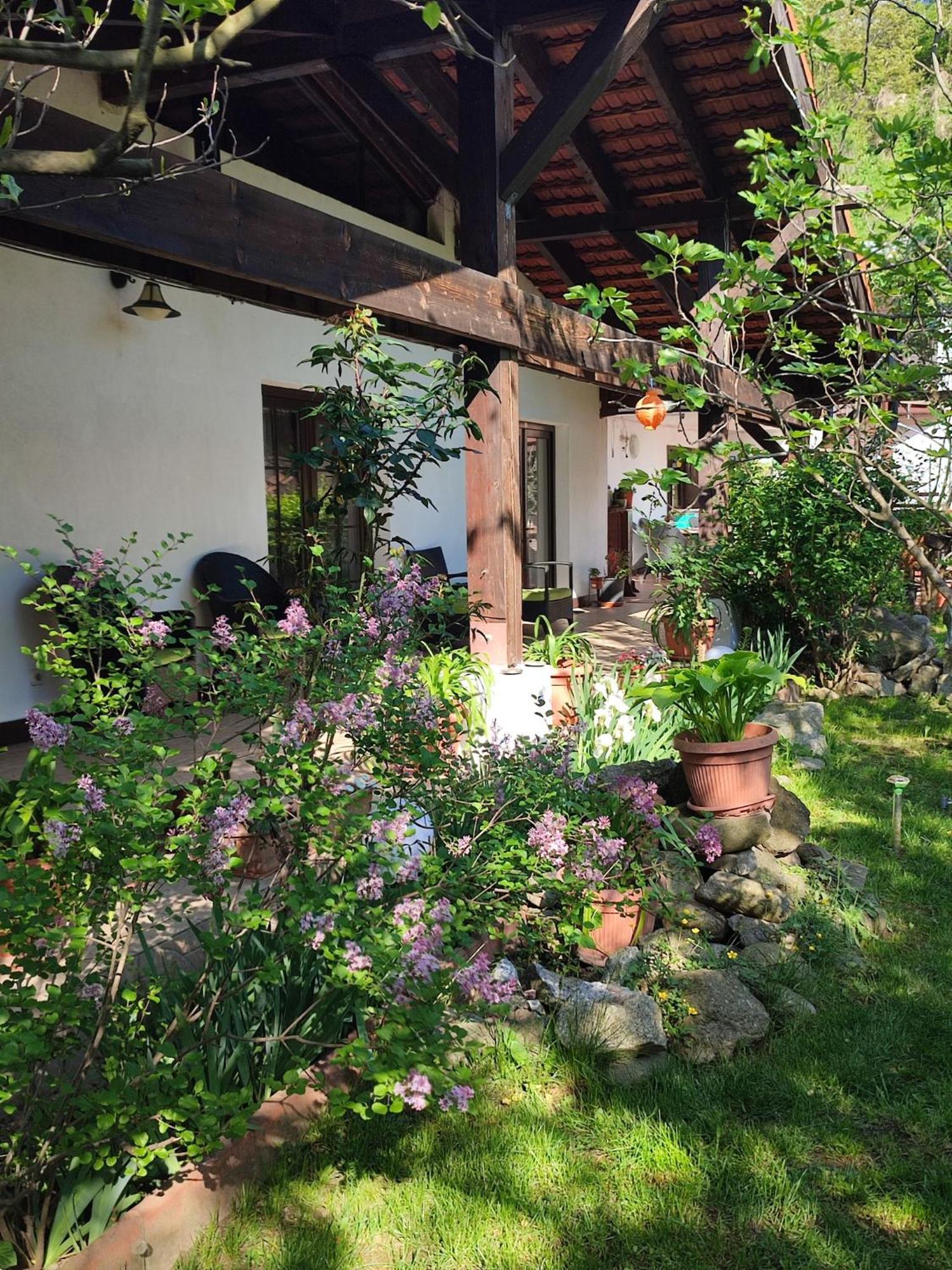 Pensiunea La Dolce Vita Băile Herculane Exterior photo