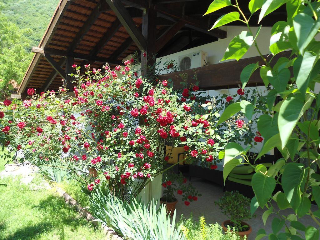 Pensiunea La Dolce Vita Băile Herculane Exterior photo